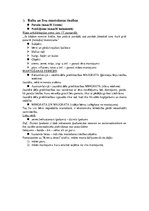 Konspekts 'Latvijas tiesību vēsture', 3.