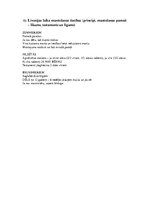 Konspekts 'Latvijas tiesību vēsture', 10.