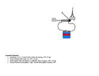 Referāts 'Žurnāls par zinātni deviņpadsmitajā gadsimtā', 7.