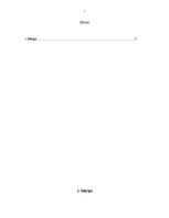 Referāts 'Jūras kravu pārvadājumu drošība', 3.