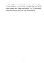 Referāts 'NATO', 4.