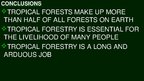 Prezentācija 'Tropical Forestry', 11.