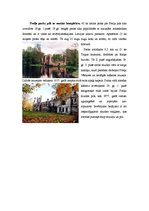 Referāts 'Ceļā uz zilo ezeru zemi', 7.