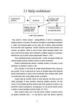Referāts '17 - 18 gadīgu jauniešu bailes no pārbaudes darbiem', 8.