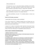 Prakses atskaite 'Klientu apkalpošanas centra darbības analīze', 17.