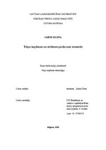 Referāts 'Telpu kopšanas un tīrīšanas piederumi viesnīcās', 1.