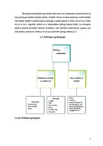 Referāts 'Telpu kopšanas un tīrīšanas piederumi viesnīcās', 5.