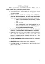 Referāts 'Telpu kopšanas un tīrīšanas piederumi viesnīcās', 6.