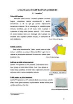 Referāts 'Telpu kopšanas un tīrīšanas piederumi viesnīcās', 13.