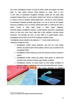 Referāts 'Telpu kopšanas un tīrīšanas piederumi viesnīcās', 15.