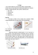 Referāts 'Telpu kopšanas un tīrīšanas piederumi viesnīcās', 16.