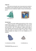 Referāts 'Telpu kopšanas un tīrīšanas piederumi viesnīcās', 17.