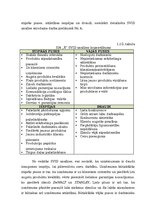 Diplomdarbs 'Vairumtirdzniecības uzņēmuma darbības pilnveidošana', 37.