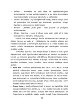 Diplomdarbs 'Vairumtirdzniecības uzņēmuma darbības pilnveidošana', 55.