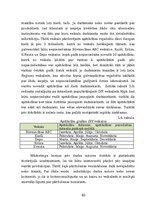 Diplomdarbs 'Vairumtirdzniecības uzņēmuma darbības pilnveidošana', 63.