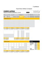 Diplomdarbs 'Vairumtirdzniecības uzņēmuma darbības pilnveidošana', 100.