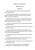 Konspekts 'Kultūras pētniecības virzieni. Kultūras teorija', 1.