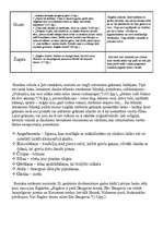 Referāts 'Romāna "Aktrise Ragārēs" analīze', 4.