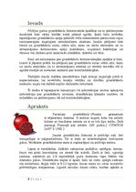 Referāts 'Granātābols', 3.