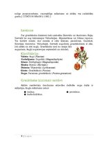 Referāts 'Granātābols', 4.