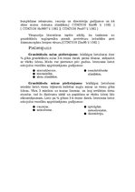 Referāts 'Granātābols', 6.