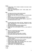 Konspekts 'Ārējais izskats', 3.