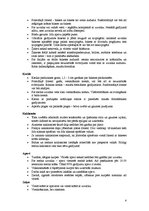 Konspekts 'Ārējais izskats', 4.