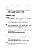 Konspekts 'Ārējais izskats', 5.