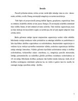 Referāts 'Starptautiskās organizācijas un to loma valsts ārpolitikas nodrošināšanā', 3.