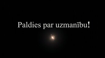 Prezentācija 'Zemgarozas kodolu arhitektūra un neirobioloģija', 16.