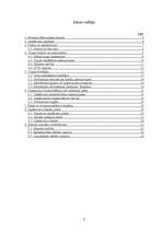 Biznesa plāns 'SIA "Datorsalons"', 2.