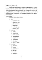 Biznesa plāns 'SIA "Datorsalons"', 7.