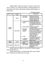 Biznesa plāns 'SIA "Datorsalons"', 17.