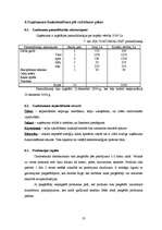 Biznesa plāns 'SIA "Datorsalons"', 18.