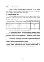 Biznesa plāns 'SIA "Datorsalons"', 20.