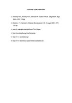 Konspekts 'Sirreālisms un tā izpausmes glezniecībā', 10.