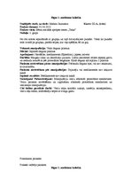 Prakses atskaite 'Prakses dienasgrāmata pediatrijā', 1.