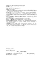 Prakses atskaite 'Prakses dienasgrāmata pediatrijā', 10.