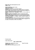 Prakses atskaite 'Prakses dienasgrāmata pediatrijā', 11.