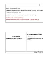 Konspekts 'Mācību satura apguves norise matemātikas priekšmetā pirmsskolas izglītības trīs ', 5.