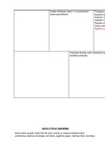 Konspekts 'Mācību satura apguves norise matemātikas priekšmetā pirmsskolas izglītības trīs ', 10.