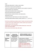 Konspekts 'Mācību satura apguves norise matemātikas priekšmetā pirmsskolas izglītības trīs ', 11.