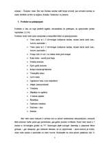 Biznesa plāns 'Mārketinga plāns viesu namam', 6.