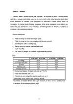 Biznesa plāns 'Mārketinga plāns viesu namam', 10.