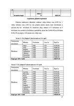 Biznesa plāns 'Elegance', 27.