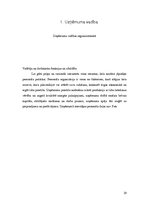 Biznesa plāns 'Elegance', 29.