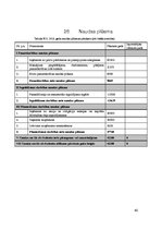 Biznesa plāns 'Elegance', 40.