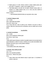 Konspekts 'Treniņgrupas apraksts', 8.