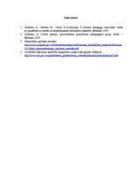 Konspekts 'Treniņgrupas apraksts', 17.