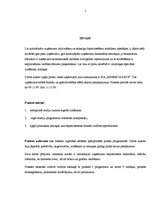 Prakses atskaite 'Prakses atskaite uzņēmumā', 5.